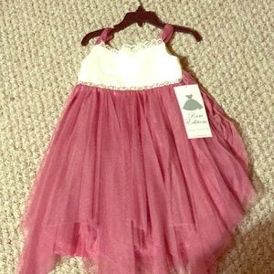 Toddler Girls rare editions chiffon & lace dress
